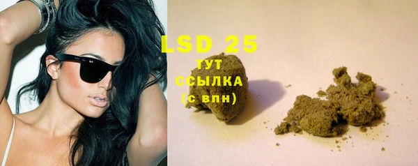 стафф Покачи