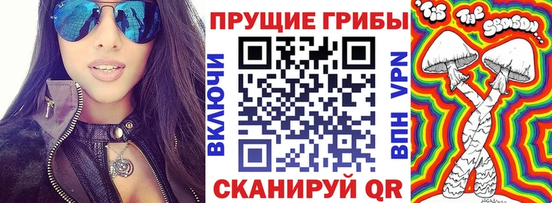 Галлюциногенные грибы Psilocybe  Советский 