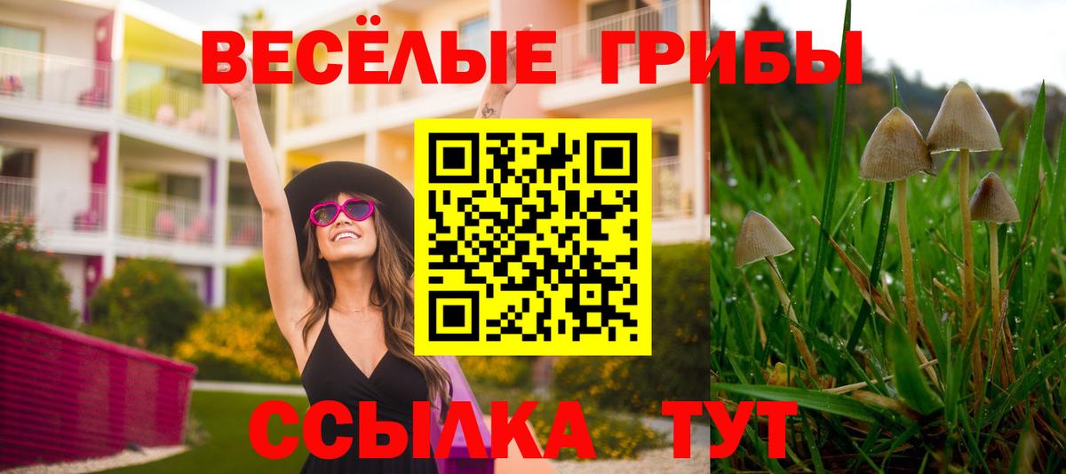 купить  сайты  Галлюциногенные грибы Magic Shrooms  Вход с VPN  Советский  Псилоцибиновые грибы ЛСД 